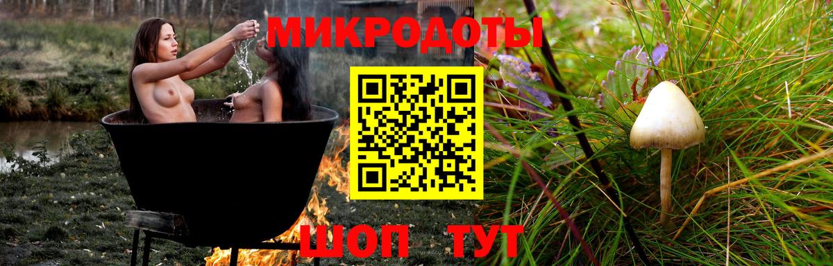 Сегежа  Псилоцибиновые грибы Psilocybe  Вход с VPN 