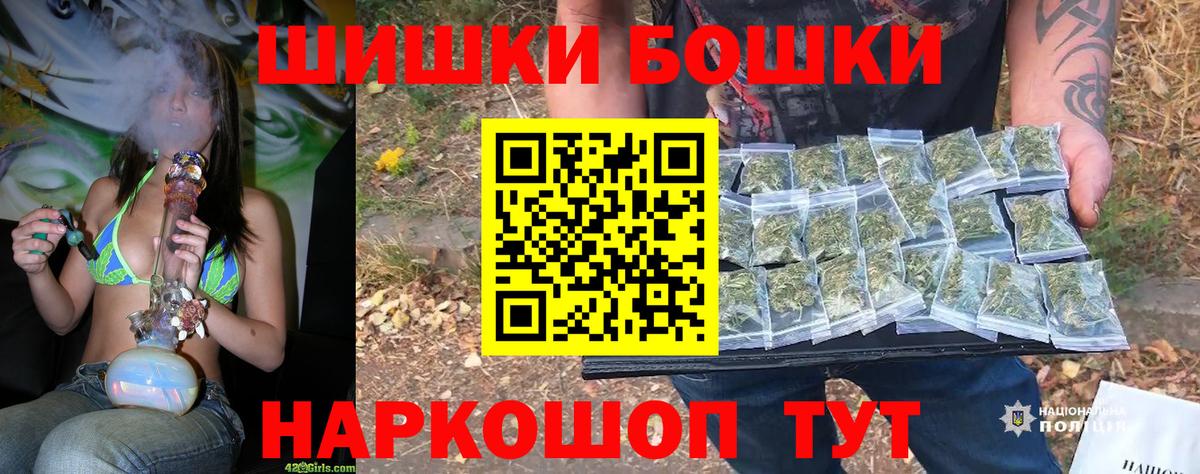 Бошки Шишки план Сегежа